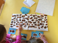 Lade das Bild in den Galerie-Viewer, Bibu gleiche - Kopie