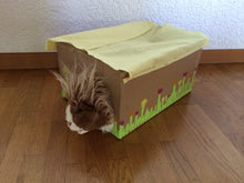 Lade das Bild in den Galerie-Viewer, KArton stall - Kopie