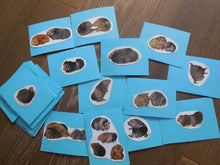 Lade das Bild in den Galerie-Viewer, Lotto