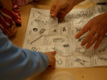 Lade das Bild in den Galerie-Viewer, Tiere in der Erde vergleichen