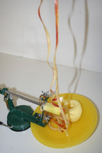 Lade das Bild in den Galerie-Viewer, IMG_4682