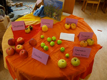 Lade das Bild in den Galerie-Viewer, Apfelsorten joh