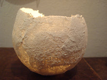 Lade das Bild in den Galerie-Viewer, Foto für Newsletter