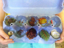 Lade das Bild in den Galerie-Viewer, Monika Henzer - Kopie