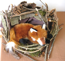 Lade das Bild in den Galerie-Viewer, fux anfang - Kopie