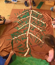 Lade das Bild in den Galerie-Viewer, Schneideübung Tanne - Kopie