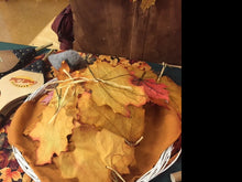 Lade das Bild in den Galerie-Viewer, IMG_0009