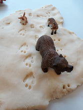 Lade das Bild in den Galerie-Viewer, Tierspuren im Schnee