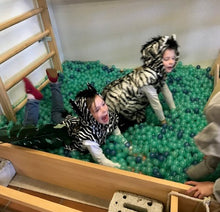 Lade das Bild in den Galerie-Viewer, Newsletter1