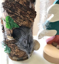 Lade das Bild in den Galerie-Viewer, win17