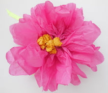 Lade das Bild in den Galerie-Viewer, rosa Blüte