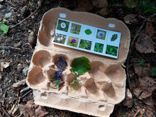 Lade das Bild in den Galerie-Viewer, Blumen Bingo3