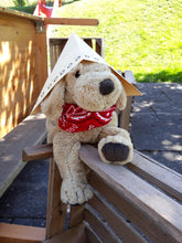 Lade das Bild in den Galerie-Viewer, IMG-20210715-WA0039