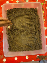 Lade das Bild in den Galerie-Viewer, IMG_0085