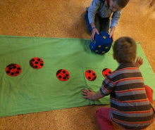 Lade das Bild in den Galerie-Viewer, Marienkäfe - Kopie