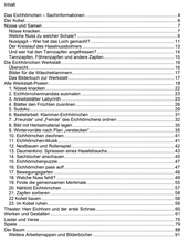 Lade das Bild in den Galerie-Viewer, Inhalt48Eichhörnchen