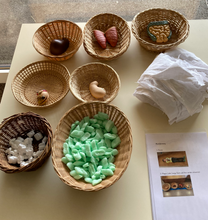 Lade das Bild in den Galerie-Viewer, FS Mumifizierung