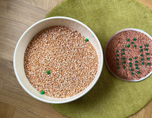 Lade das Bild in den Galerie-Viewer, Erbsen zählen Regula - Kopie