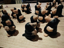 Lade das Bild in den Galerie-Viewer, IMG_4075