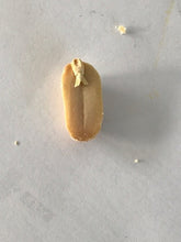 Lade das Bild in den Galerie-Viewer, R Nüssli Samich