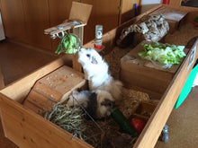 Lade das Bild in den Galerie-Viewer, DN_Futter2 - Kopie