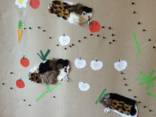 Lade das Bild in den Galerie-Viewer, Gruppen Fellmeeri - Kopie