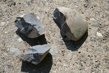 Lade das Bild in den Galerie-Viewer, IMG_1233 - Kopie