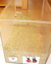 Lade das Bild in den Galerie-Viewer, Linsen seite