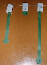 Lade das Bild in den Galerie-Viewer, Crictoreinladung