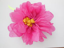 Lade das Bild in den Galerie-Viewer, DaZ 001 - Kopie