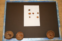 Lade das Bild in den Galerie-Viewer, IMG_4364 - Kopie