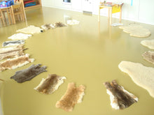 Lade das Bild in den Galerie-Viewer, DSC03541