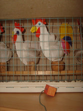 Lade das Bild in den Galerie-Viewer, Huehnerhaus3