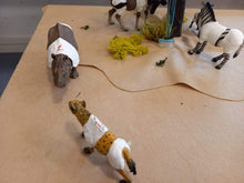 Lade das Bild in den Galerie-Viewer, Die Savannenkicker