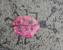 Lade das Bild in den Galerie-Viewer, SALE Der Abfallkönig - Arbeitsmappe