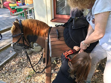 Lade das Bild in den Galerie-Viewer, SALE Bauernhof als Einstiegsthema: Tiere und Regeln