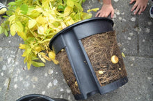 Lade das Bild in den Galerie-Viewer, SALE Leben und arbeiten auf dem Bauernhof