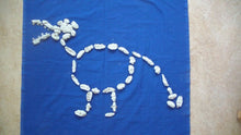 Lade das Bild in den Galerie-Viewer, Drache legen
