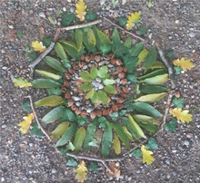 Lade das Bild in den Galerie-Viewer, natur mandala
