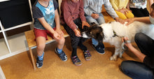 Lade das Bild in den Galerie-Viewer, Schulhund
