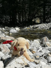 Lade das Bild in den Galerie-Viewer, Lumpi Fluss
