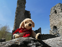 Lade das Bild in den Galerie-Viewer, Lumpi Schloss
