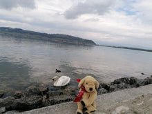 Lade das Bild in den Galerie-Viewer, Lumpi See
