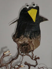 Lade das Bild in den Galerie-Viewer, Rabe
