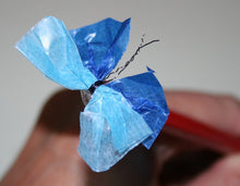 Lade das Bild in den Galerie-Viewer, SALE Von der Raupe zum Schmetterling

